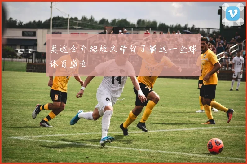 奥运会介绍短文带你了解这一全球体育盛会